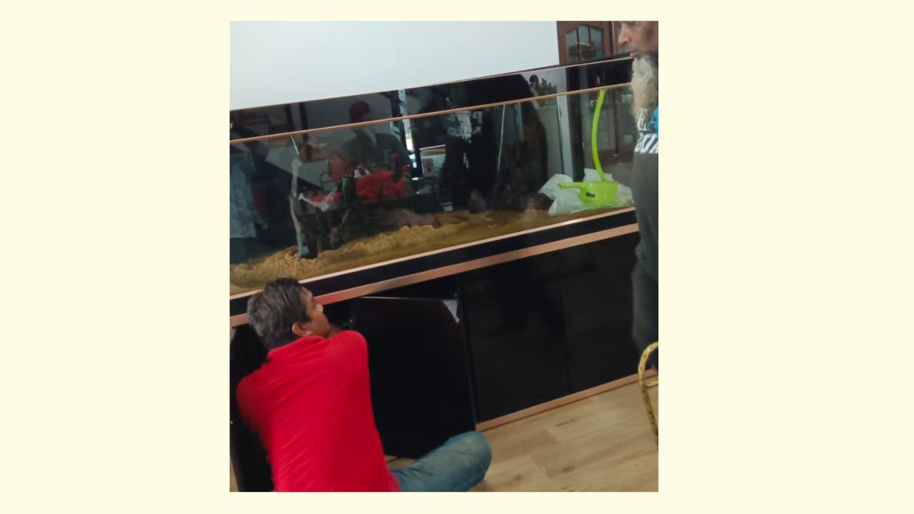 Building an Aquarium