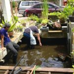 Pond Cleaning Services Kajang